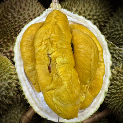 ⭐ Tiger Black Gold Durian (800g Box - All Meat)