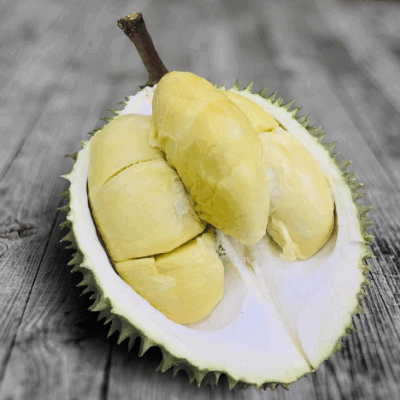 Leaf XO Durian