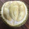 🔥 BUNDLE: Tiger Premium XO Durian (2 x 800g)
