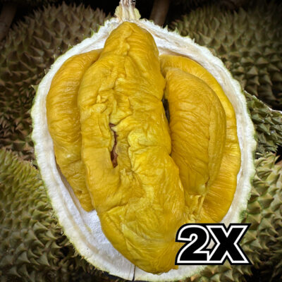 ⭐ BUNDLE: Tiger Black Gold Durian (2 x 800g)