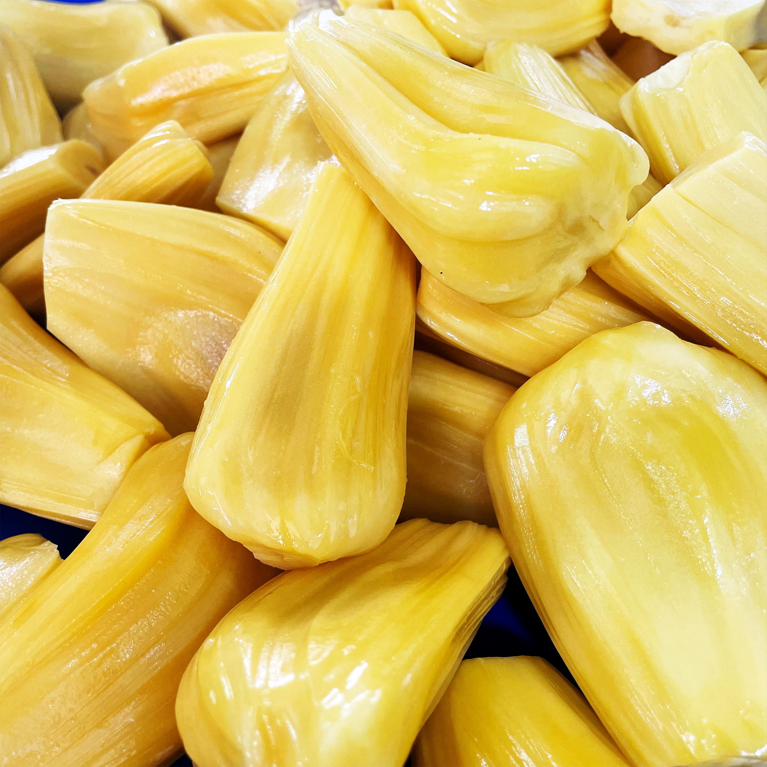 Jackfruit Pahang (500g) - Image 2