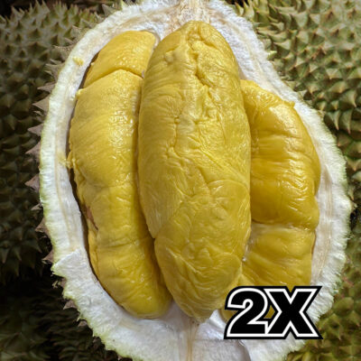 ⭐ BUNDLE:  Normal MSW Durian (2 x 800g Non-Mountain Harvest ) with
