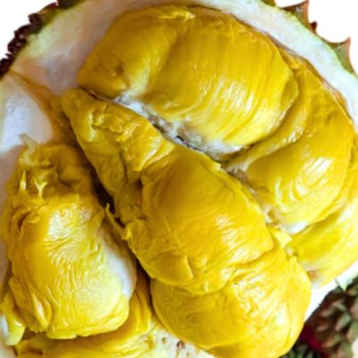 1 Penang Green Skin King Durian sg prime 0404