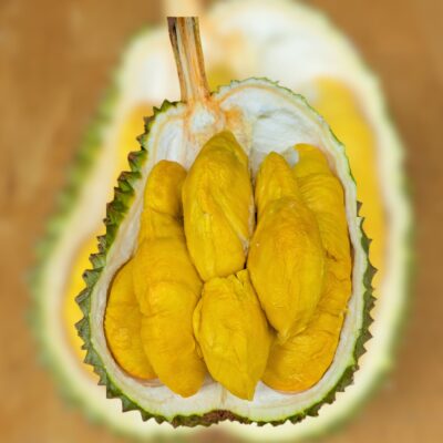 _bundle2 penang Durian sg prime penang 0404