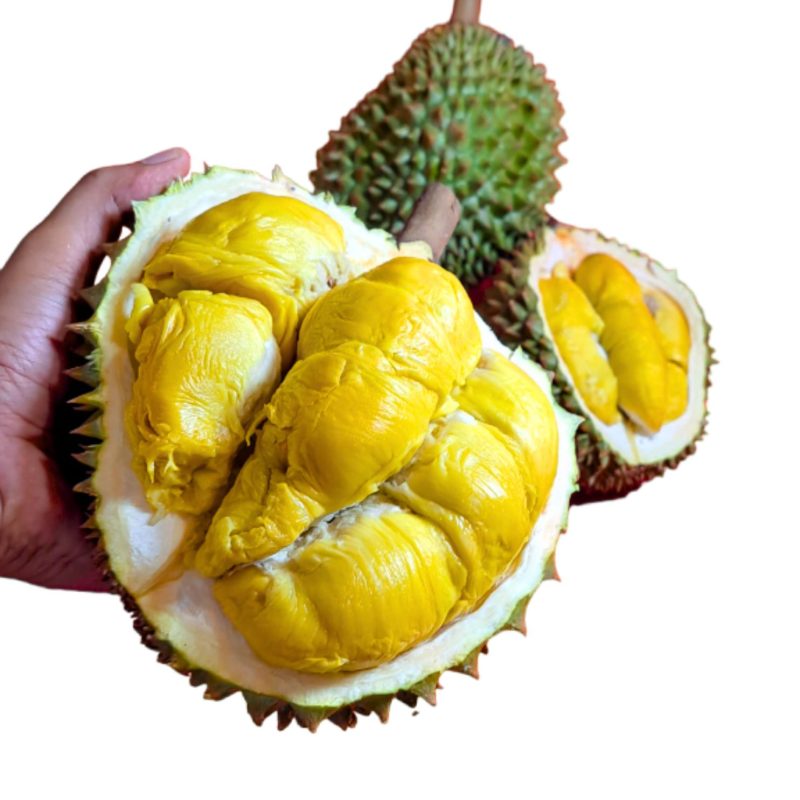 Penang Green Skin King Durian sg prime 0404