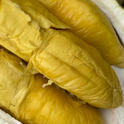 70 Years Raja kunyit