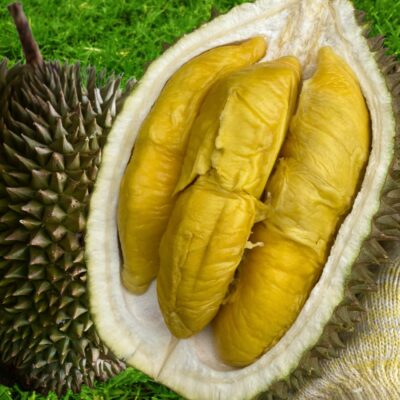 70 Years Raja kunyit