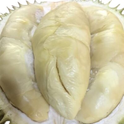 golden Phoenix durian from johor malaysia 2