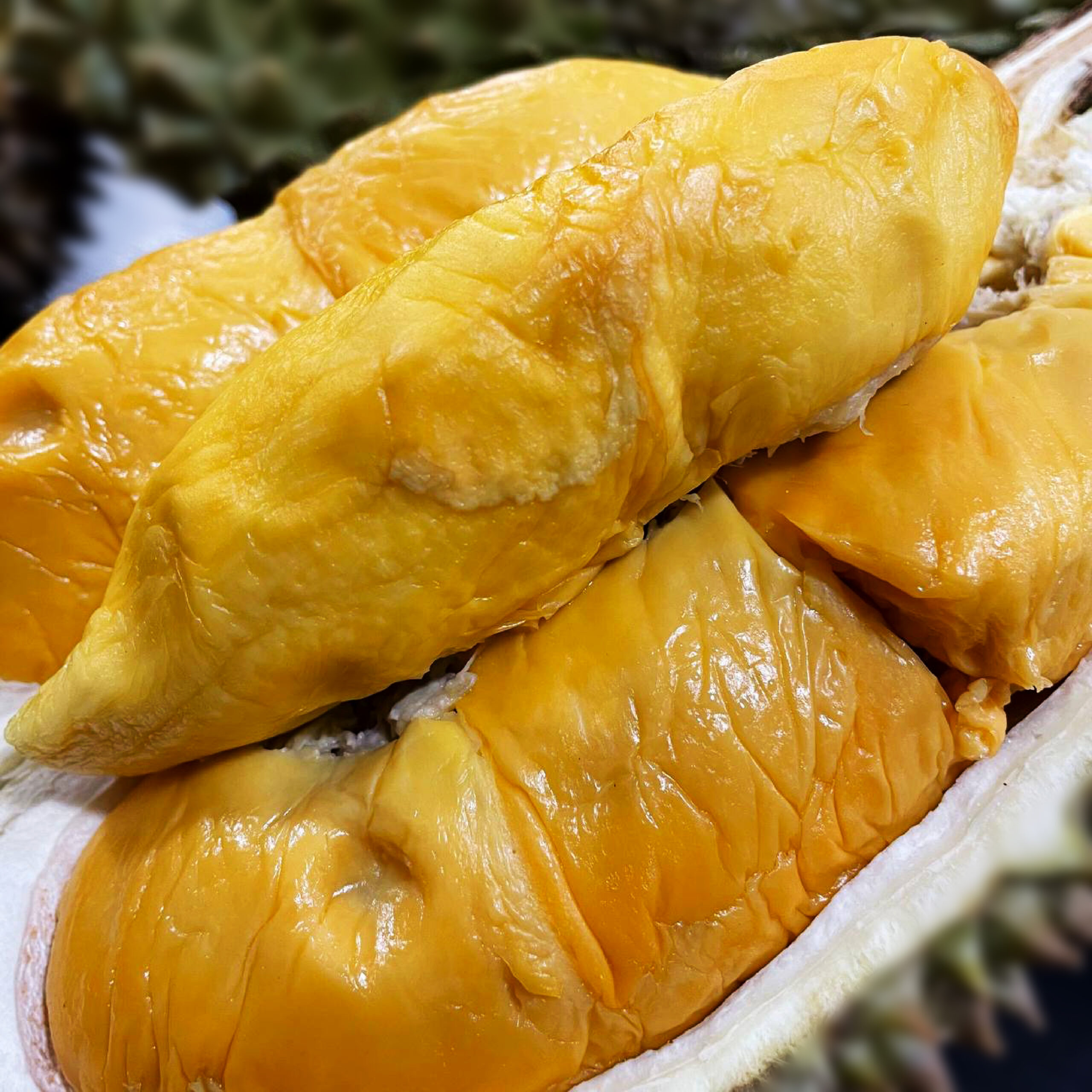 Kelantan Yuan Bao Durian (800g Box - All Meat) - Image 2