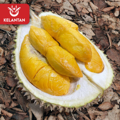 Kelantan Yuan Bao Durian (800g Box - All Meat)