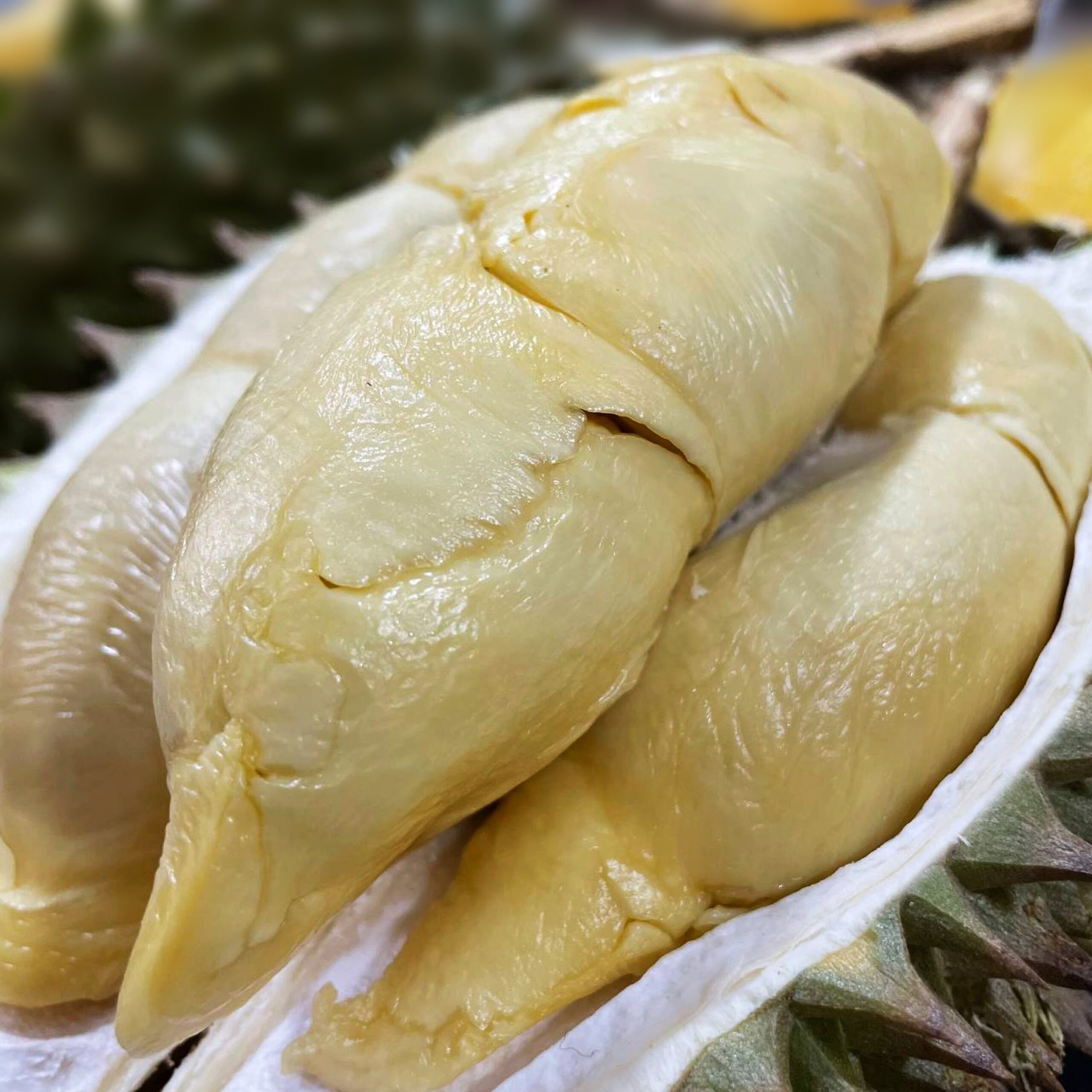 Kelantan Dabong (800g Box - All Meat) - Image 2