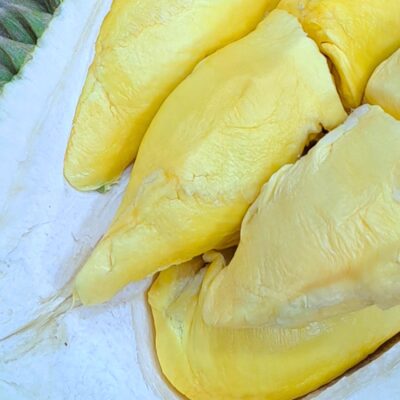 Penang D14 Durian 1905