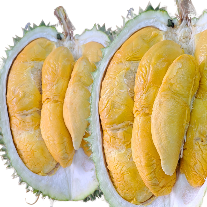 Yuan bao durian