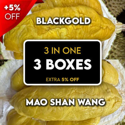 🔥 3 in 1 (TIGER) : 2x BlackGold + 1x Normal MSW