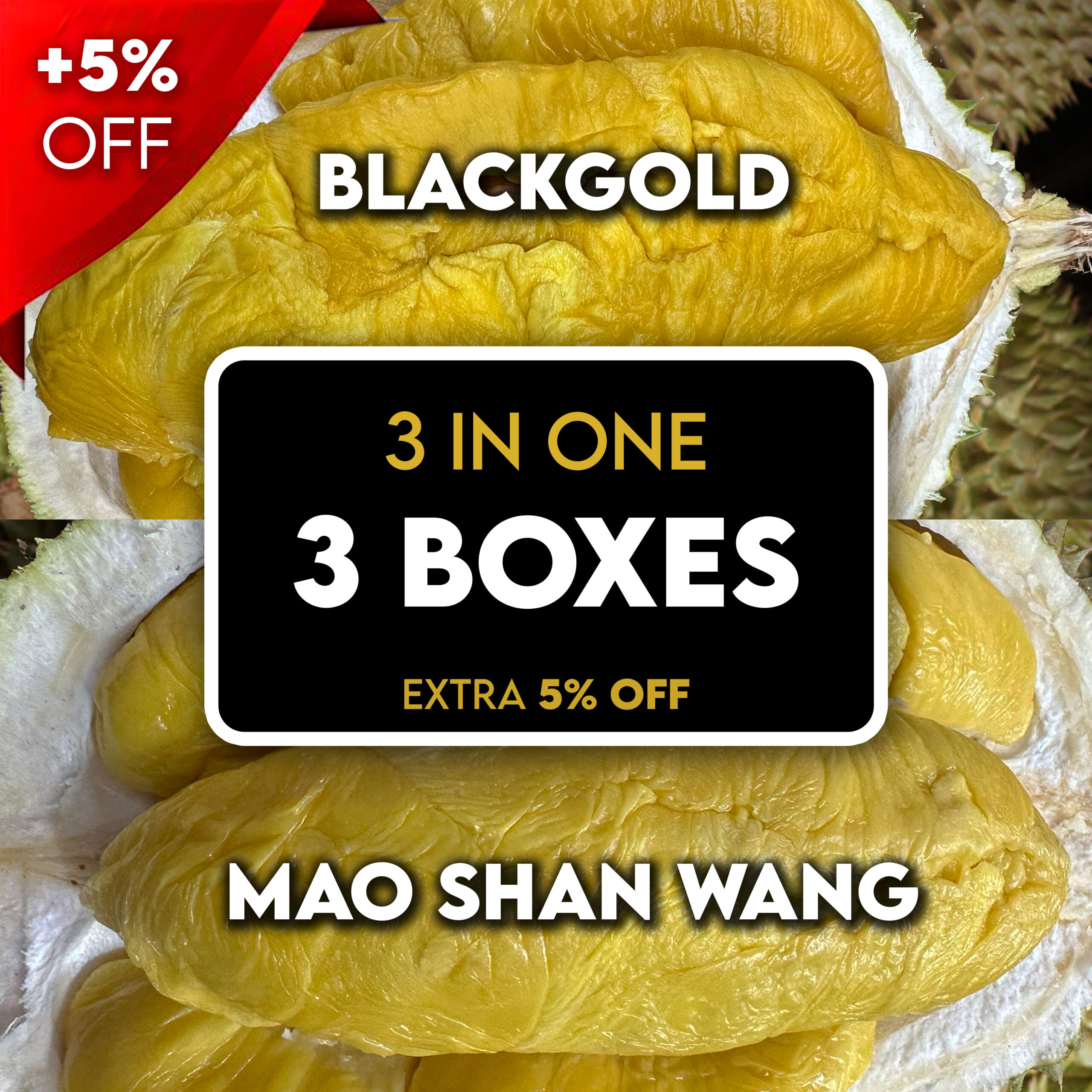 🔥 3 in 1 (TIGER) : 2x BlackGold + 1x Normal MSW