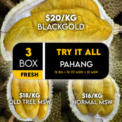 🔥 HOT Deal : 1x BlackGold + 1x OldTree + 1x Normal MSW