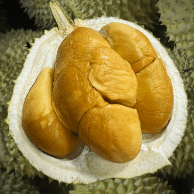 ⭐ Black Thorn Durian (800g Box - All Meat)
