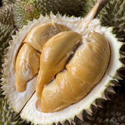 ⚠️ Rare ⚠️ Penang Red Prawn (800g Box - All Meat)