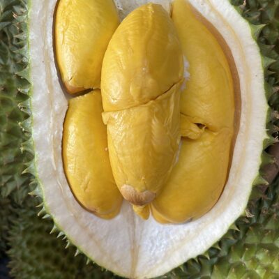 Penang Old Tree Red Prawn Durian (800g Box - All Meat)