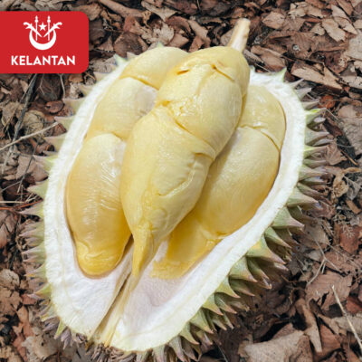 Kelantan Dabong (800g Box - All Meat)