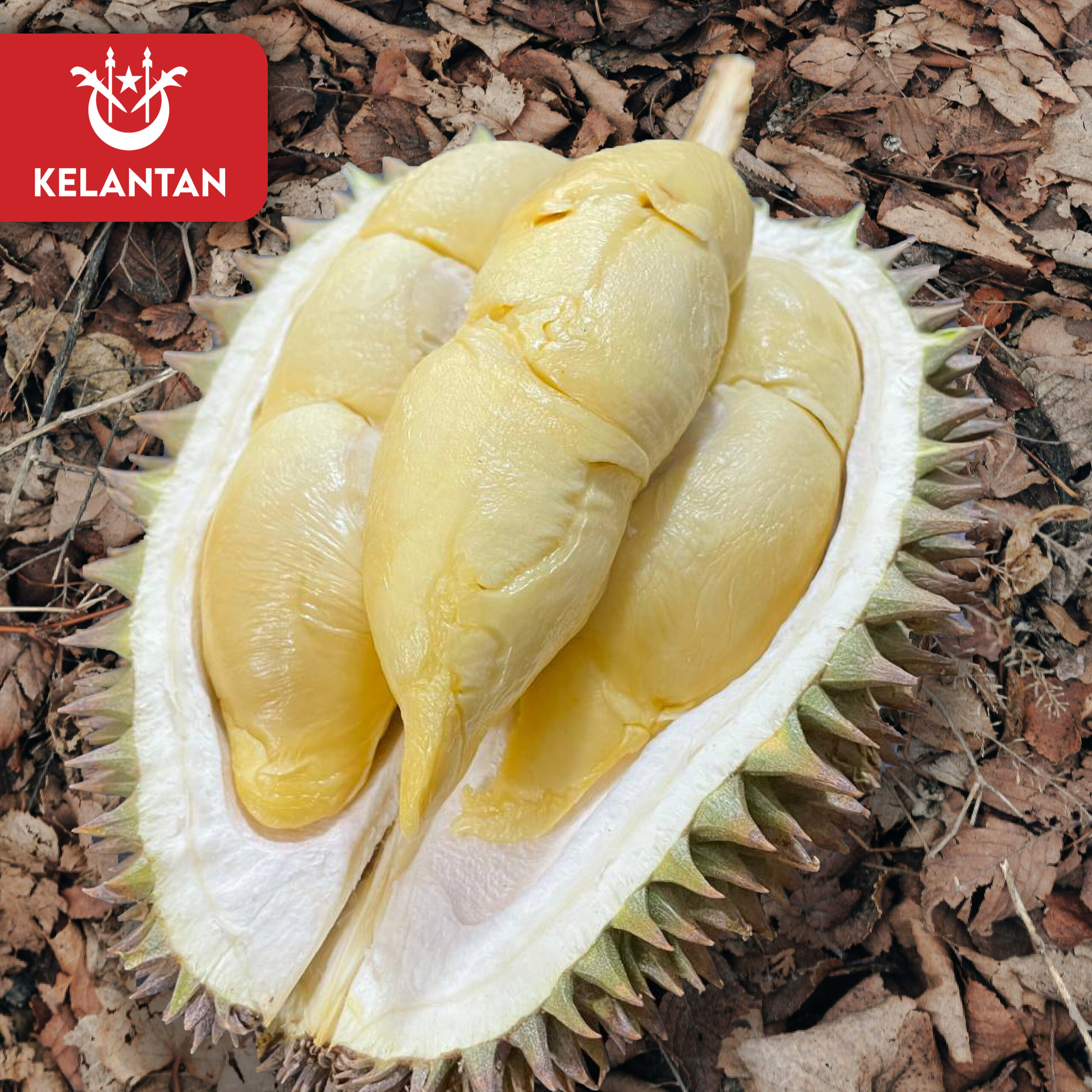 Kelantan Dabong (800g Box - All Meat)