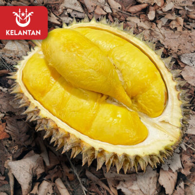 Kelantan Kuala Krai (800g Box - All Meat)