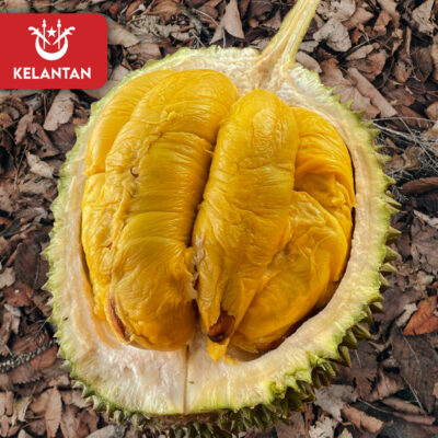 ⭐ Kelantan Black Gold MSW (800g Box - All Meat)