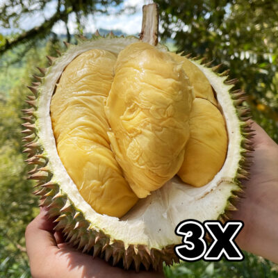 ⭐ BUNDLE: Tiger D24 Durian (3 x 800g)