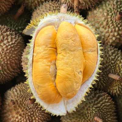 D88 (800g Box - All Meat)